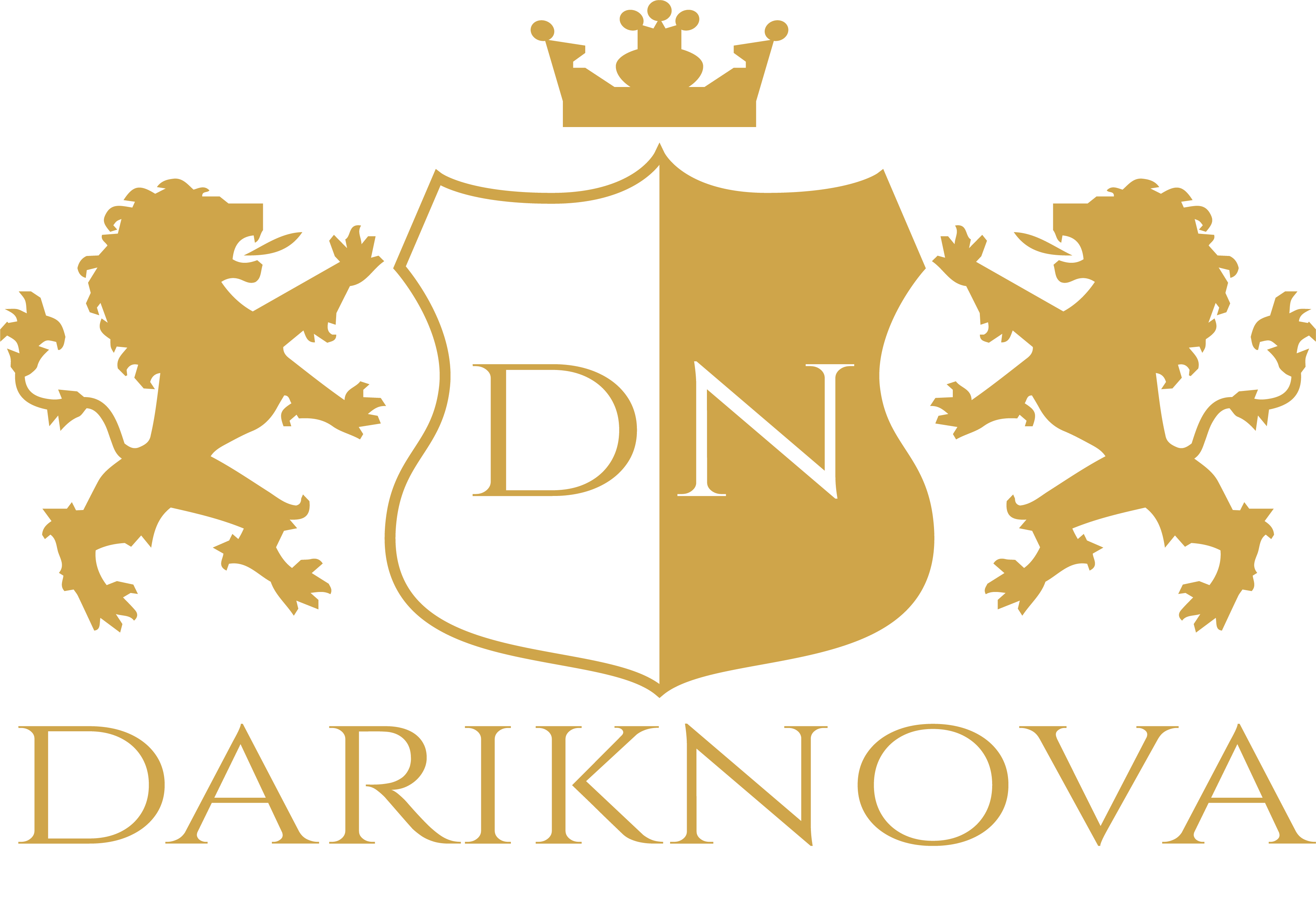 20240619 DarikNova Canada Logo R0 3